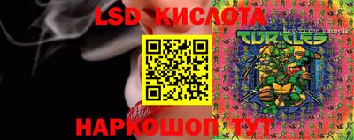 ECSTASY Сланцы
